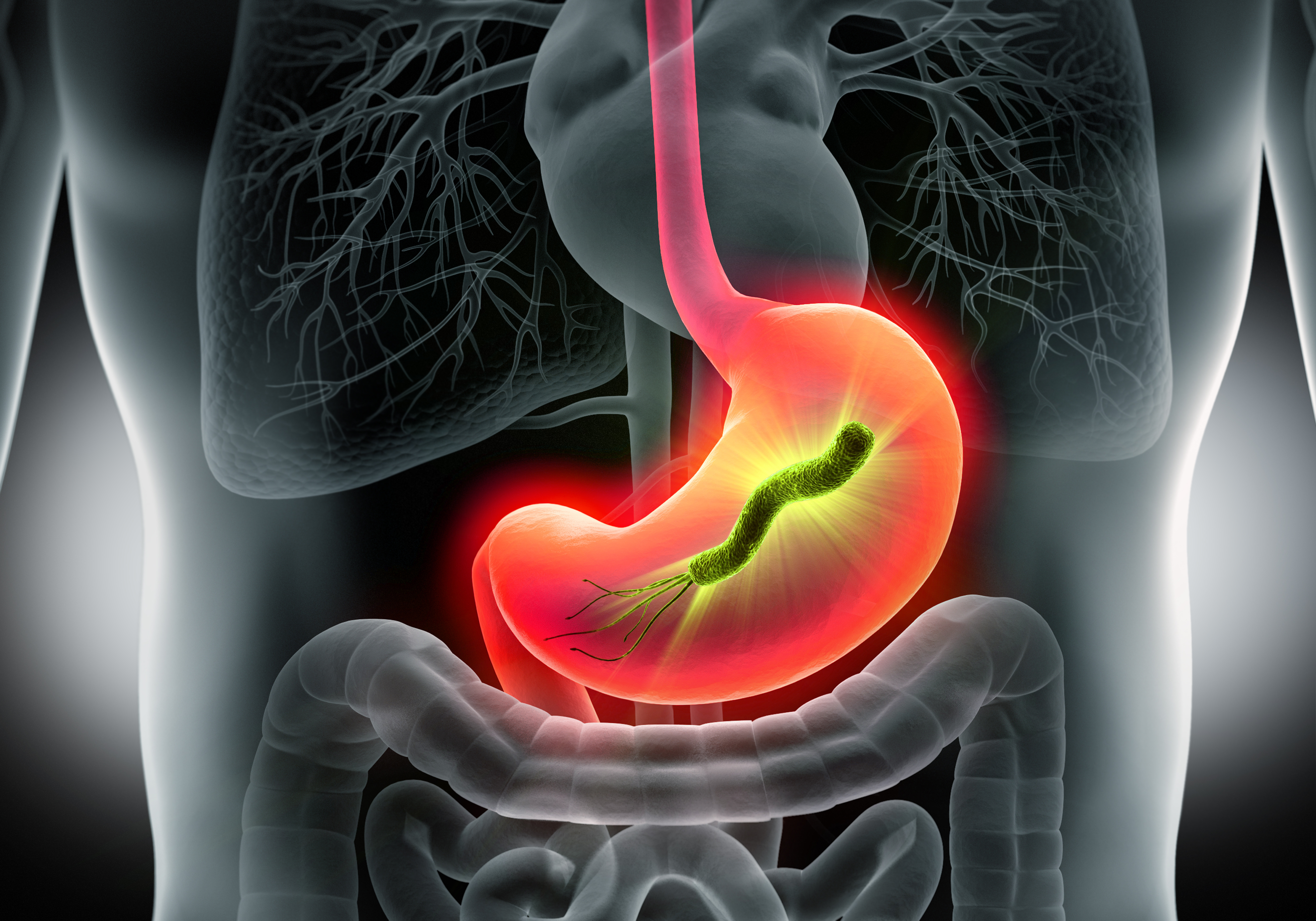 Helicobacter Pylori: It's Incidence and Seasonal Variation in a Rural Hospital in USA